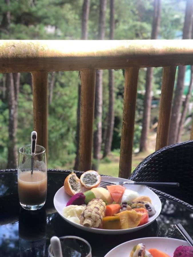 Campjohnhay Forest Estate Villa Baguio City Eksteriør billede